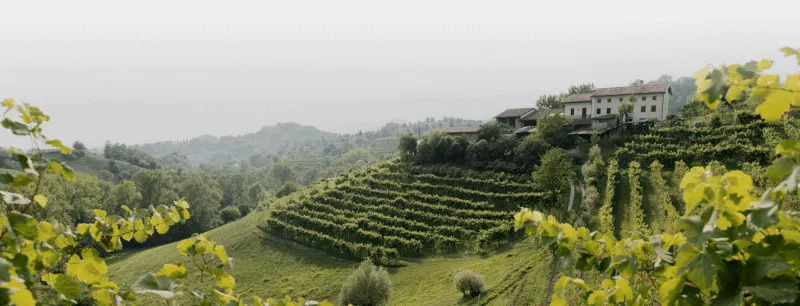 Montelliana Prosecco Superiore Asolo DOCG Extra Brut