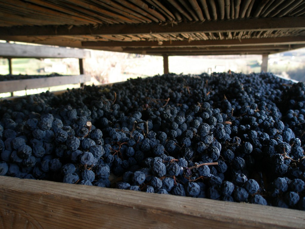 Refrontolo Passito Rosso DOCG Marzemino Dessertwein 2016