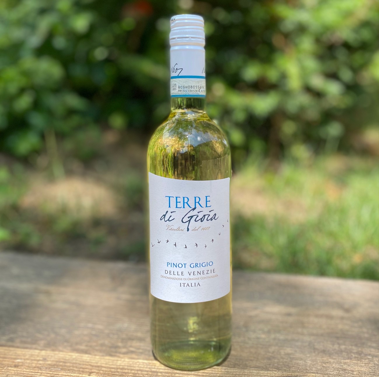 Pinot Grigio delle Venezie DOC 2021