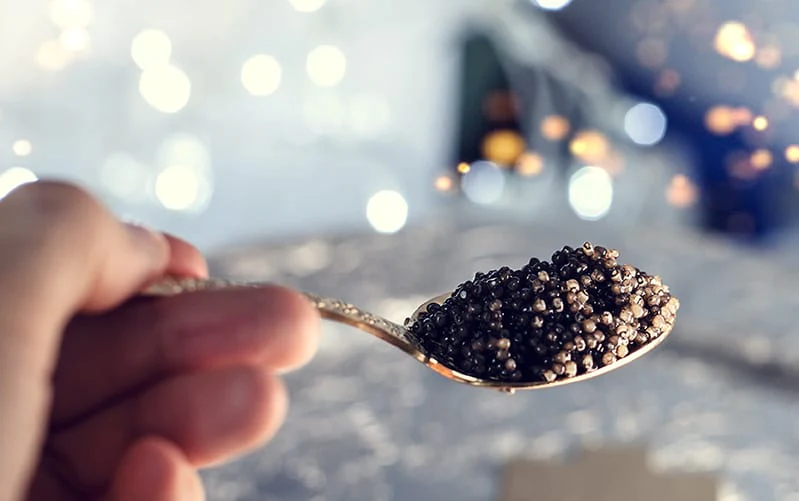Caviar White Sturgeon Deluxe 30g Dose Caviar White Sturgeon Deluxe 30g Dose