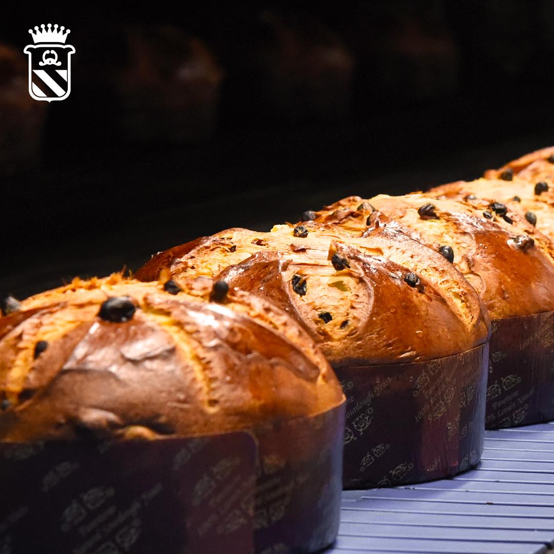 Bonifanti 750g Panettone Gran Milanese, mehrfach Prämiert Bonifanti 750g Panettone Gran Milanese, mehrfach Prämiert