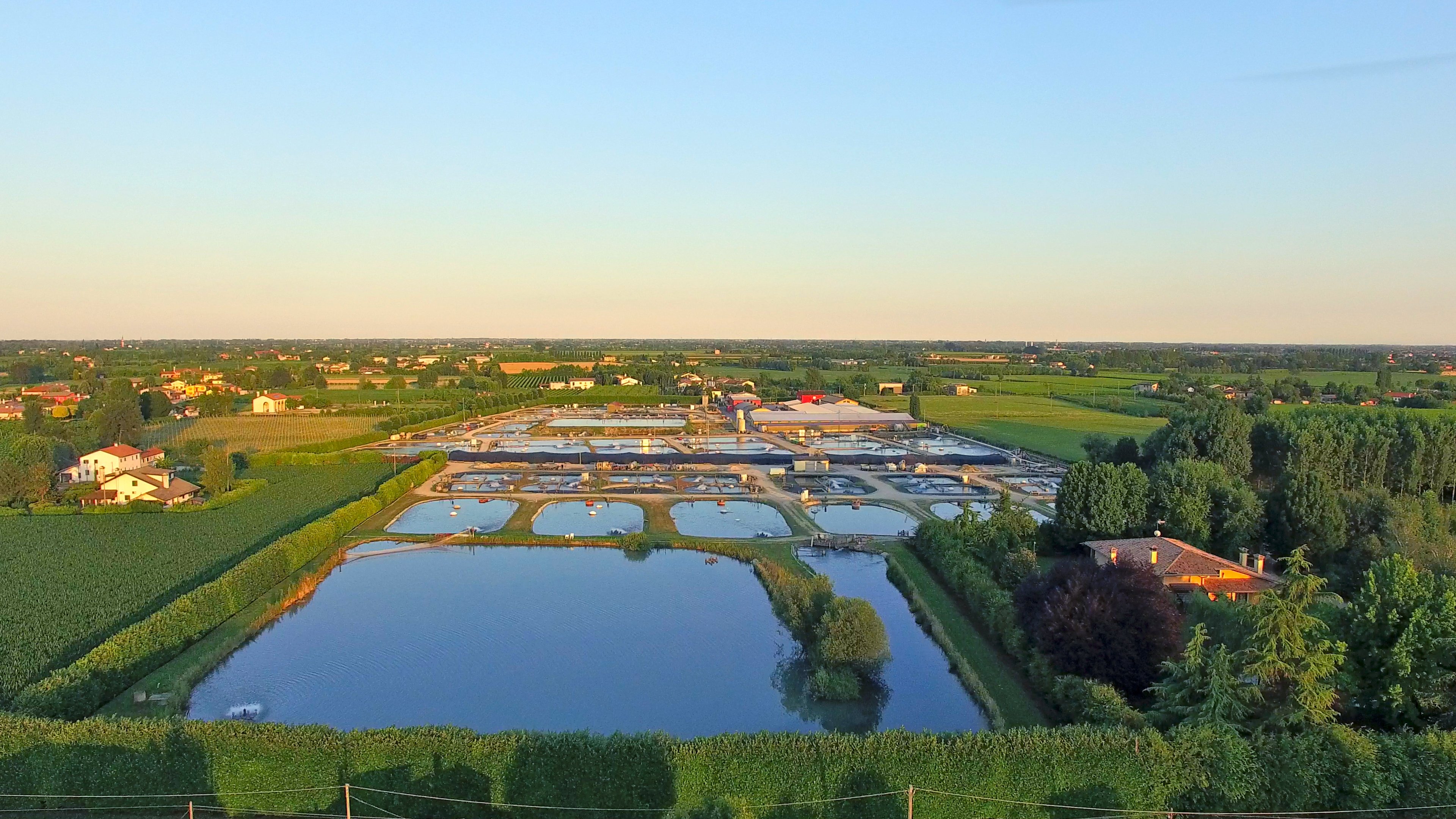 Caviar Sevruga Imperial LIMITED EDITION