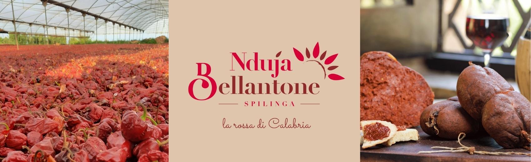 Nduja di Spilinga - Streichsalami mit 30% Chili aus Kalabrien