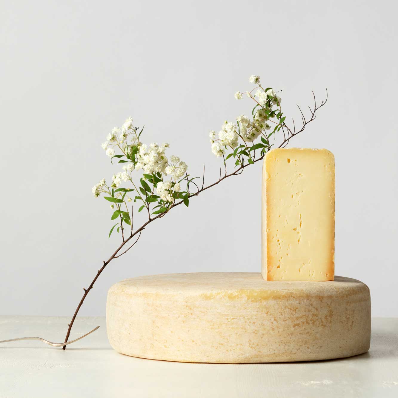 Bra tenero D.O.P. aus Piemont Bra tenero D.O.P. aus Piemont