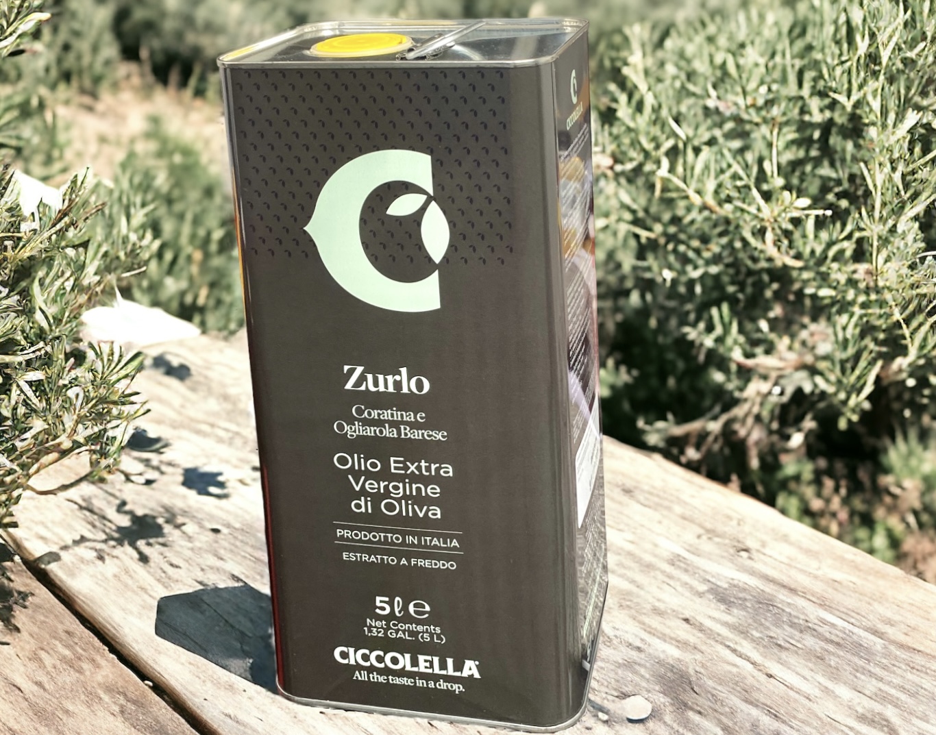 5l Preisgekrönntes Frühlings Angebot Ciccolella Zurlo Olivenöl Extra Vergine - Kanister
