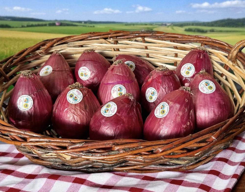 Rote Tropea Zwiebel IGP Cipolla di Tropea