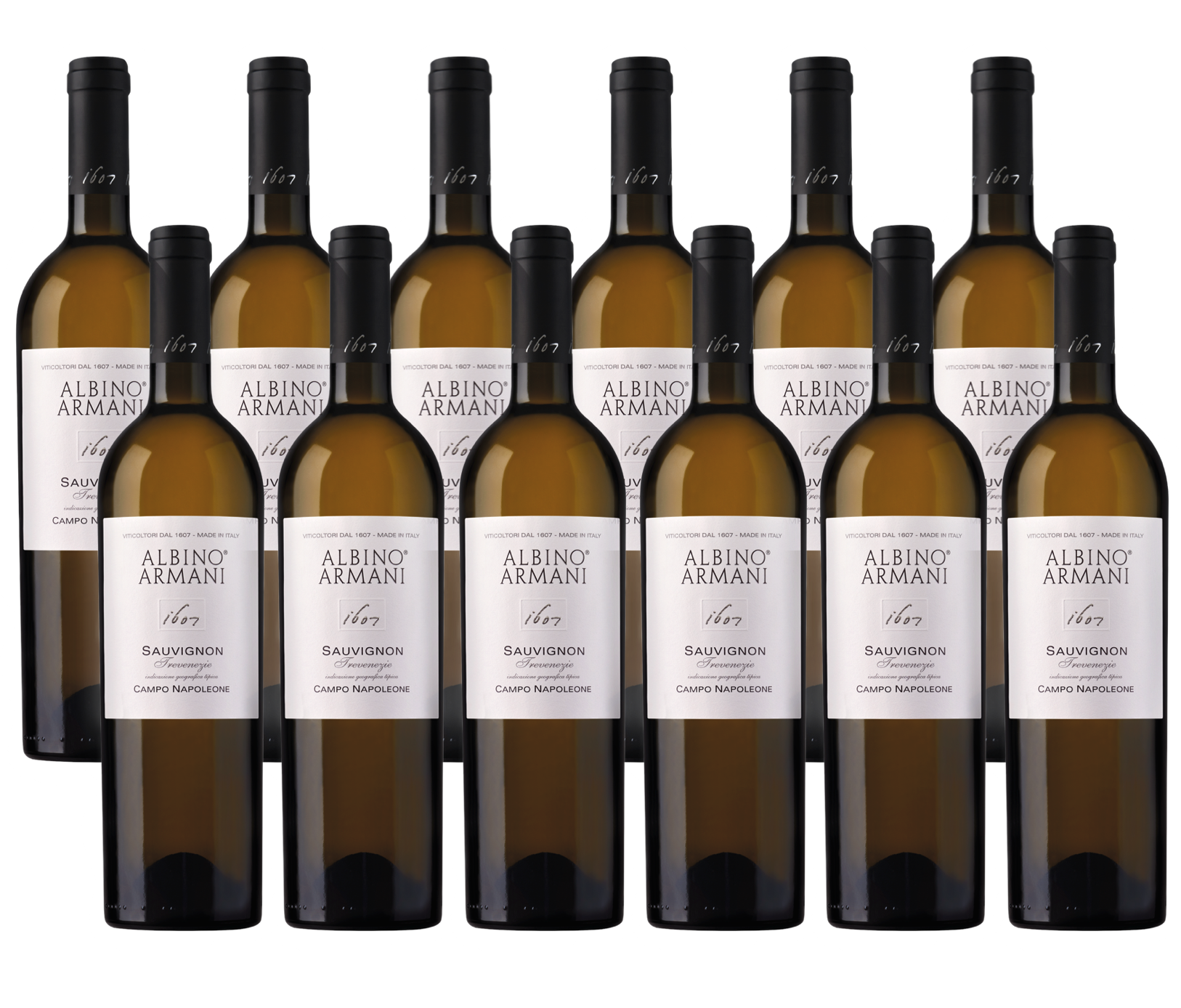 12X0,75 l Sauvignon Campo Napoleone IGT Albino Armani