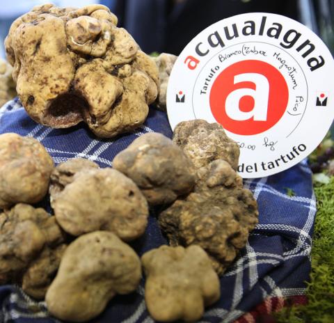 Trüffelbutter mit frischem weißem Trüffel