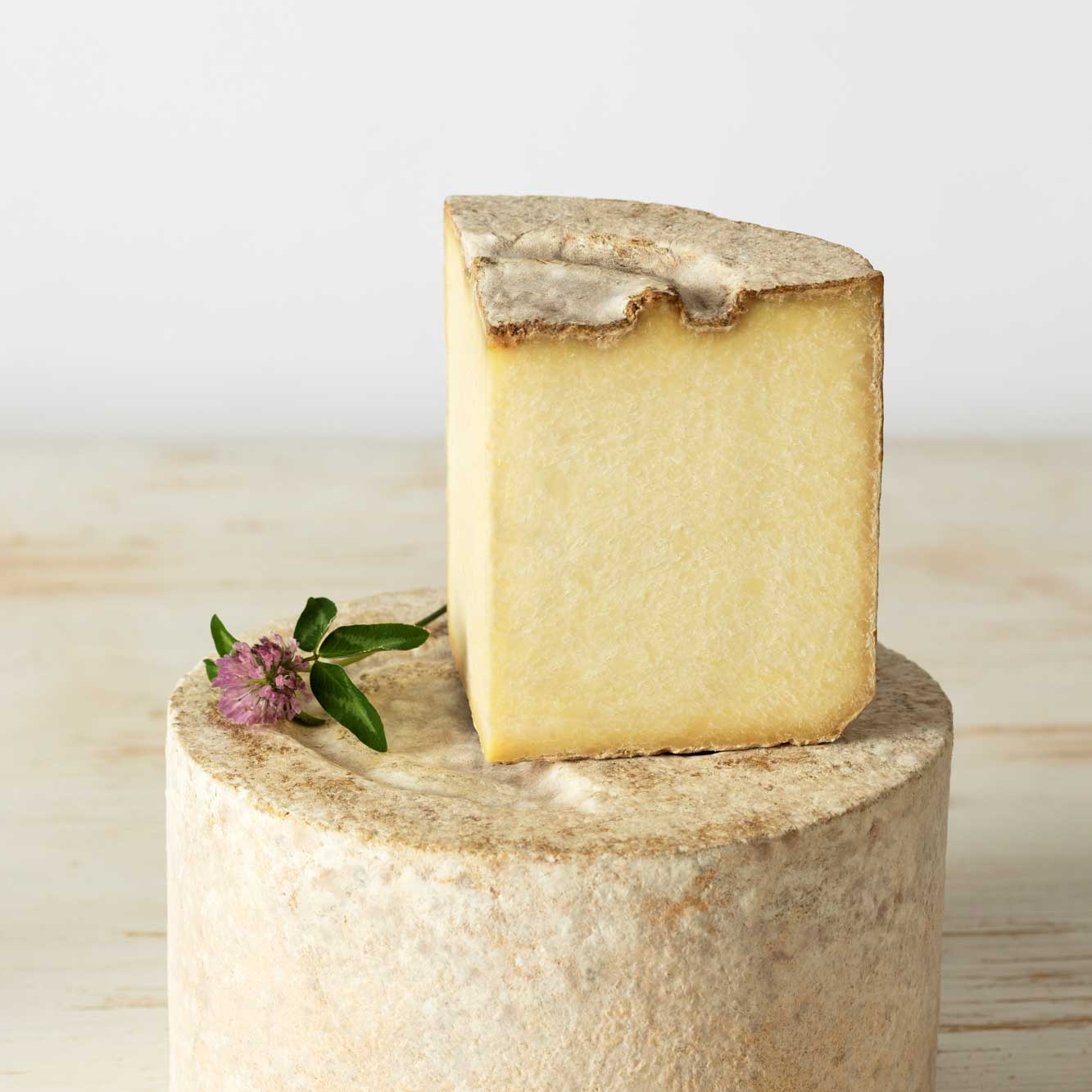 Castelmagno D.O.P. di Montagna Berg-Höhlenkäse aus Piemont