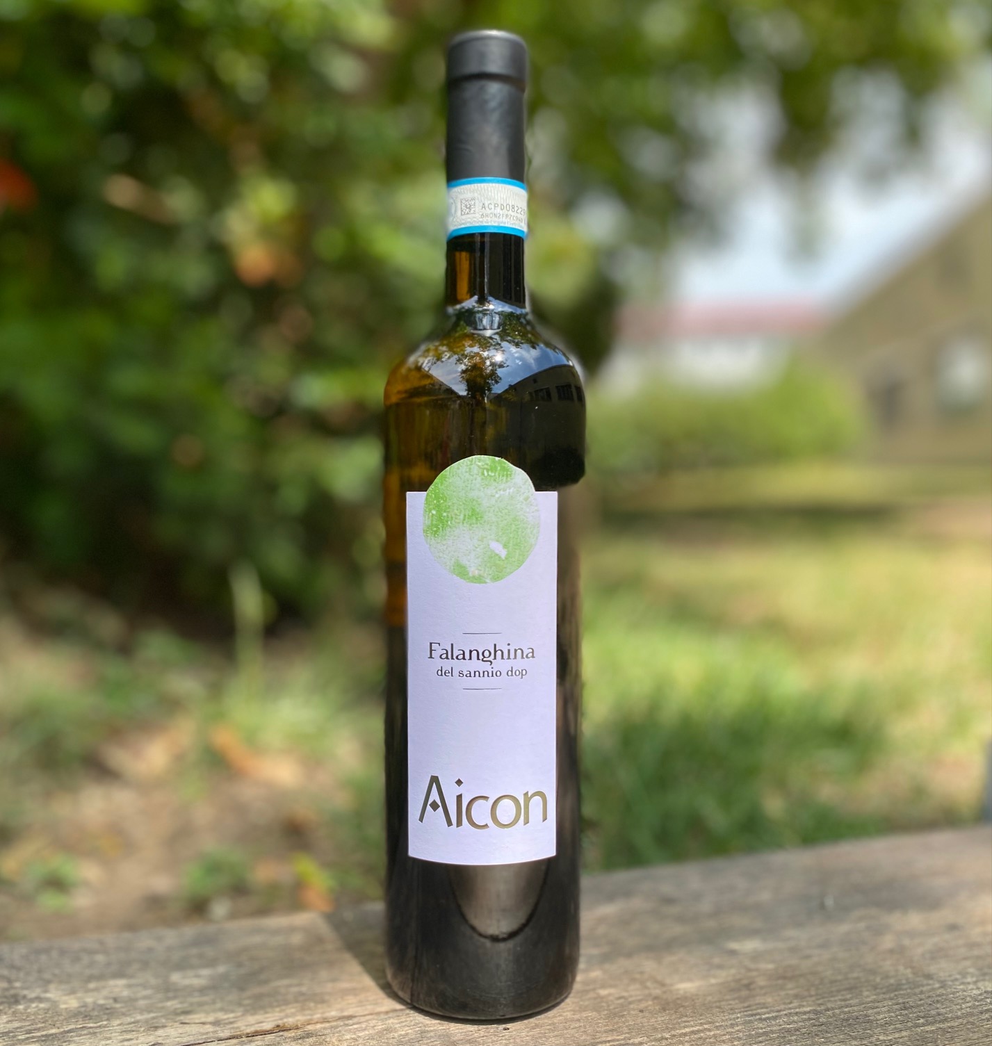 5+1 Angebot Falanghina del Sannio DOP Aicon 2022
