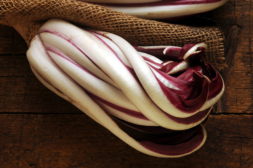 Frischer Radicchio rosso di Treviso IGP Tardivo