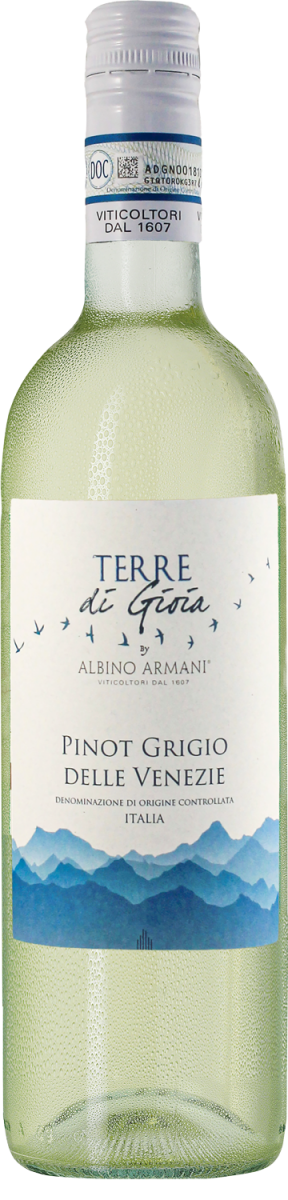 Pinot Grigio delle Venezie DOC 2021