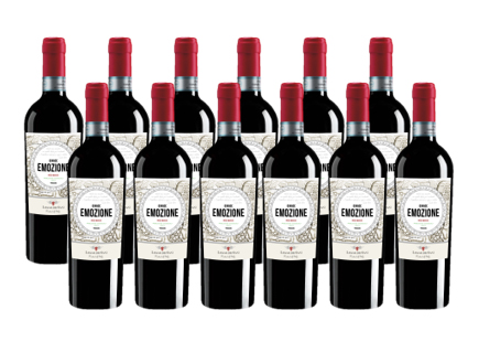 Sonderangebot 12x0,75l Grande Emozione Rosso IGT 2022