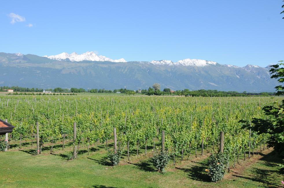 Refosco dal Peduncolo Rosso IGT Gelisi Antonio Friaul Grave