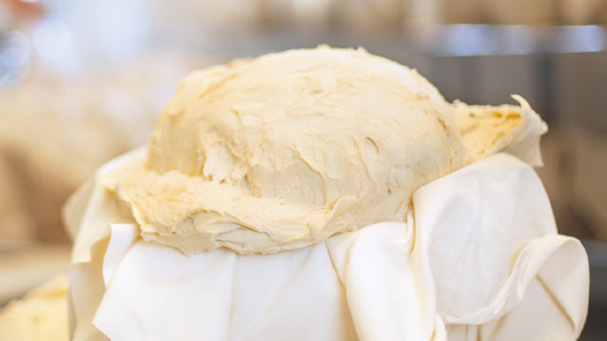 1Kg Colomba Classica Milanese ohne kand. Früchte 100% Mutterteig