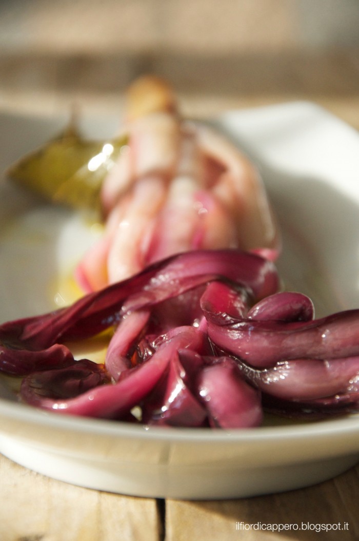 Radicchio Tardivo Treviso IGP in Öl eingelegt