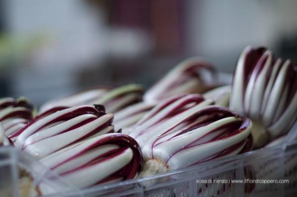 Radicchio Tardivo Treviso IGP  in Öl eingelegt