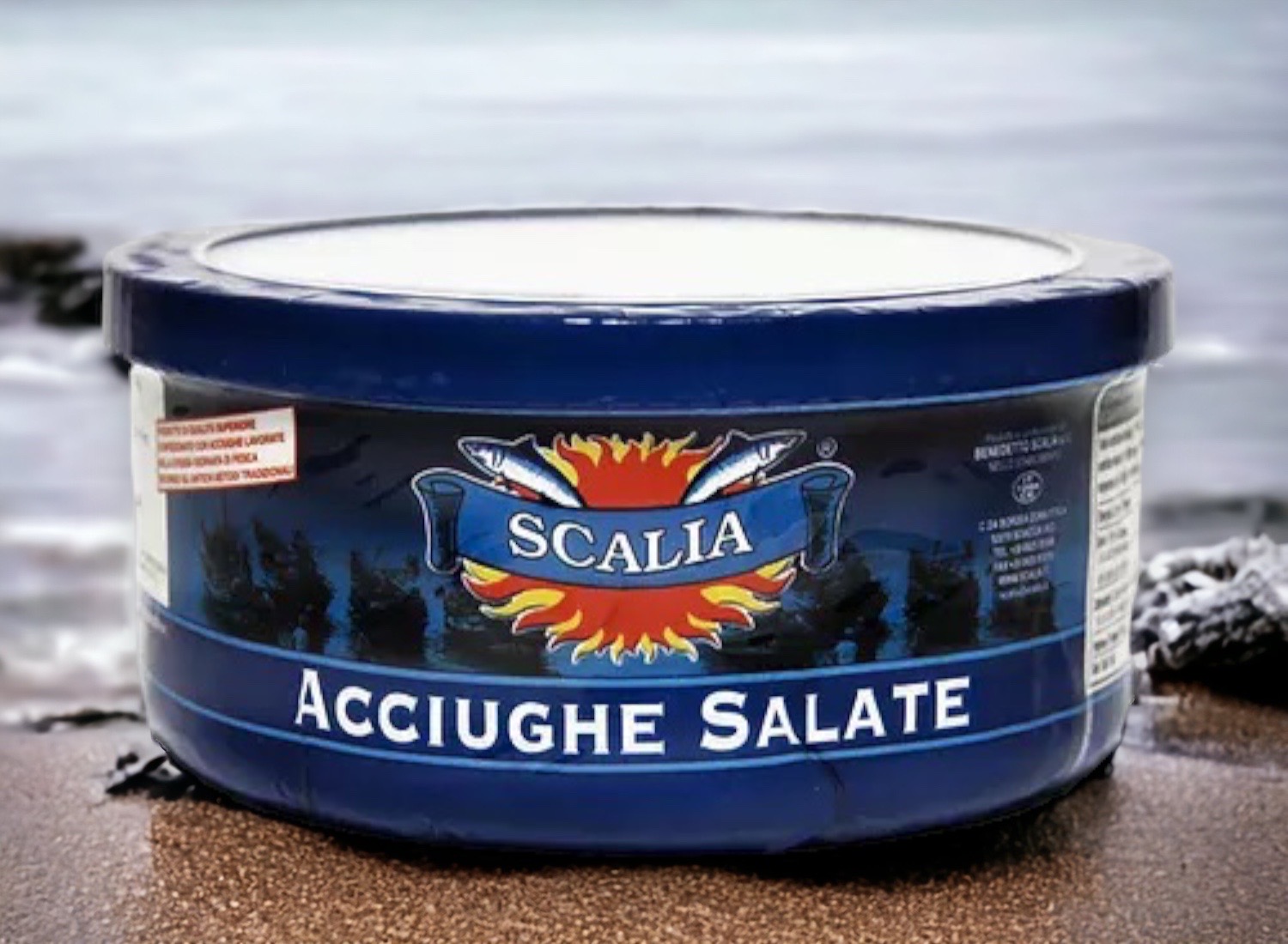 800gr Dose Gesalzene Sardellen aus Sciacca