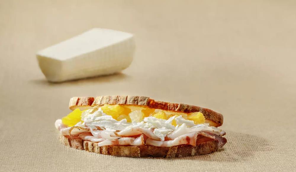 gereifte Schafsmilch Ricotta salata Montella Pecorina aus Sardinien