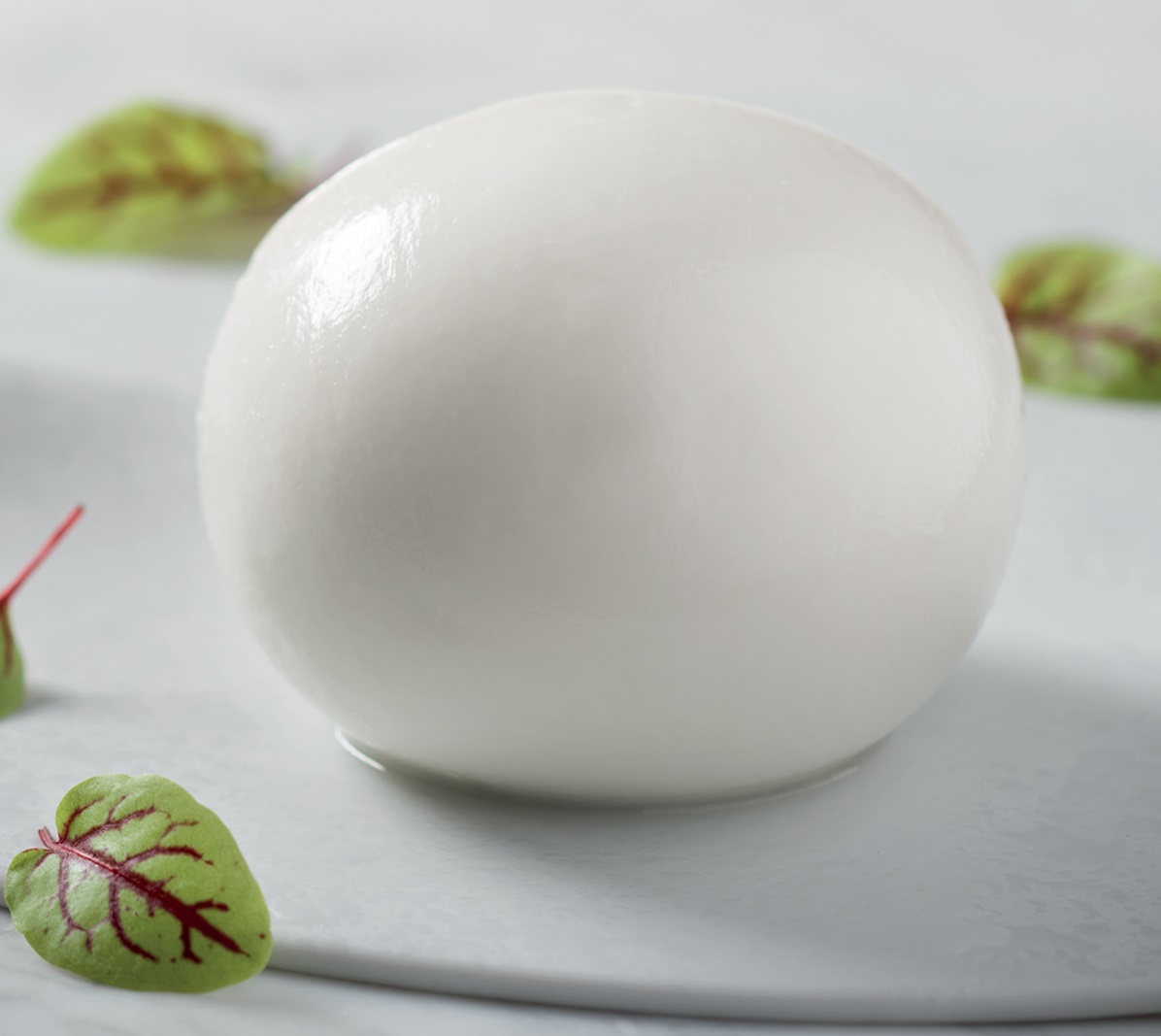 250gr Frische Mozzarella di Bufala Campana DOP 250gr Frische Mozzarella di Bufala Campana DOP
