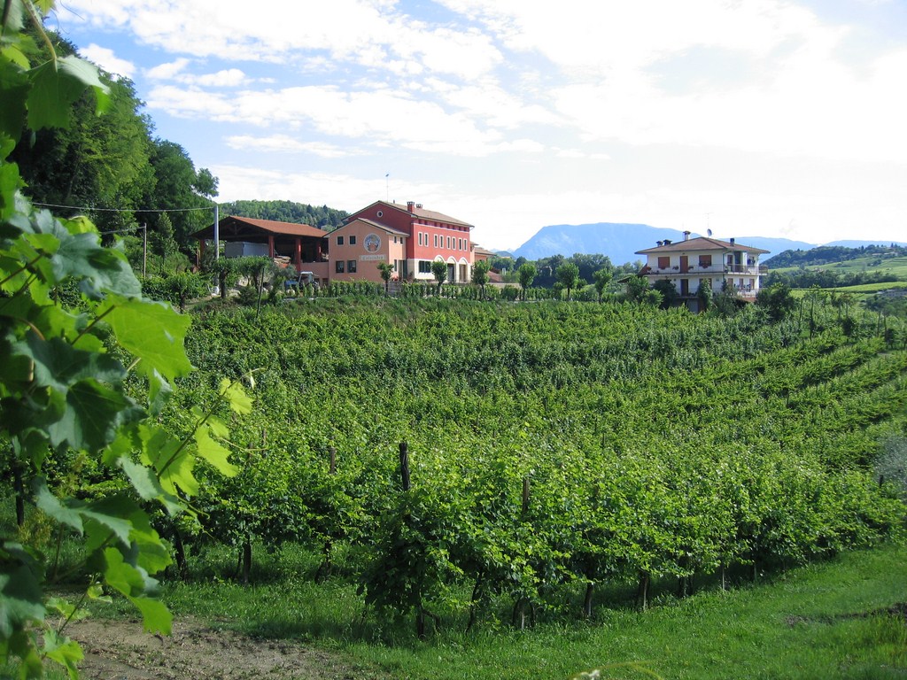 Rosso del Groppo - Colli di Conegliano DOCG 2017
