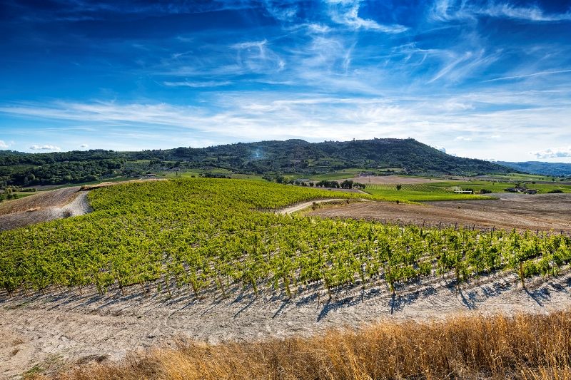 Brunello di Montalcino 2017 DOCG Martoccia Brunello di Montalcino 2017 DOCG Martoccia
