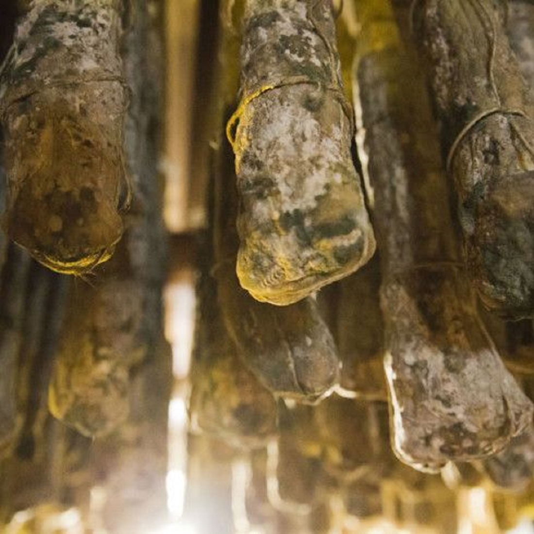 Salame Gentile in Naturkeller gereift - Typ Felino aus Parmaschinken