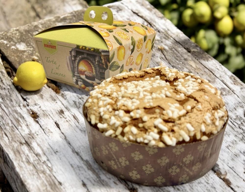 Torta al limone - Zitronenkuchen mit Sorrento Zitronen
